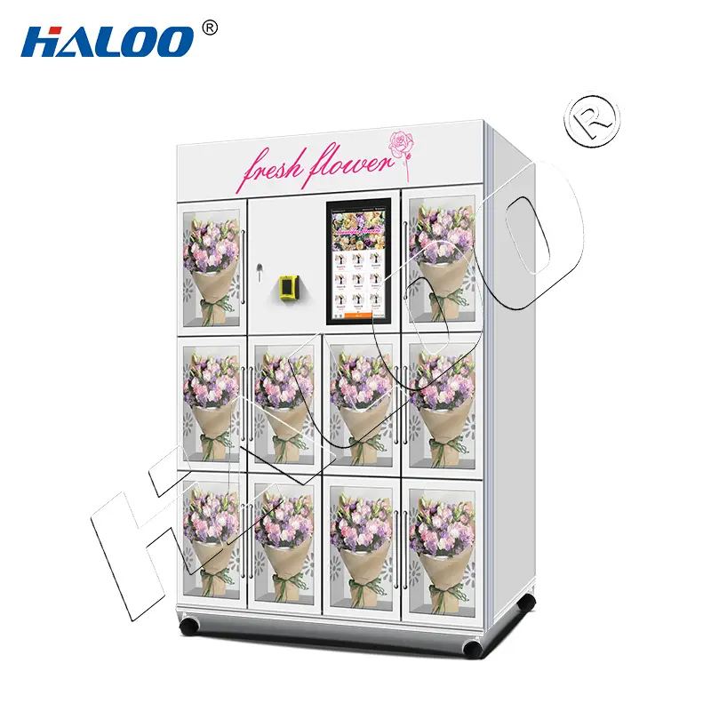 شركة هالو ماكوينا إكسبينديدورا بارا فلوريس (Haloo Maquina Expendedora Para Flores) - ماكينة بيع الزهور الذكية ذاتية الخدمة - ماكينة بيع باقات الزهور 1