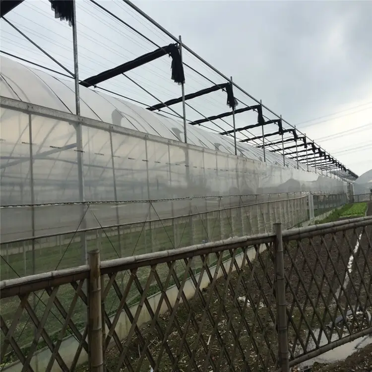 Cheap Plastic Film Greenhouse Commercial Greenhouse Multi Span Greenhouse Wholesale - Sainpoly 3