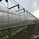 Cheap Plastic Film Greenhouse Commercial Greenhouse Multi Span Greenhouse Wholesale - Sainpoly 3