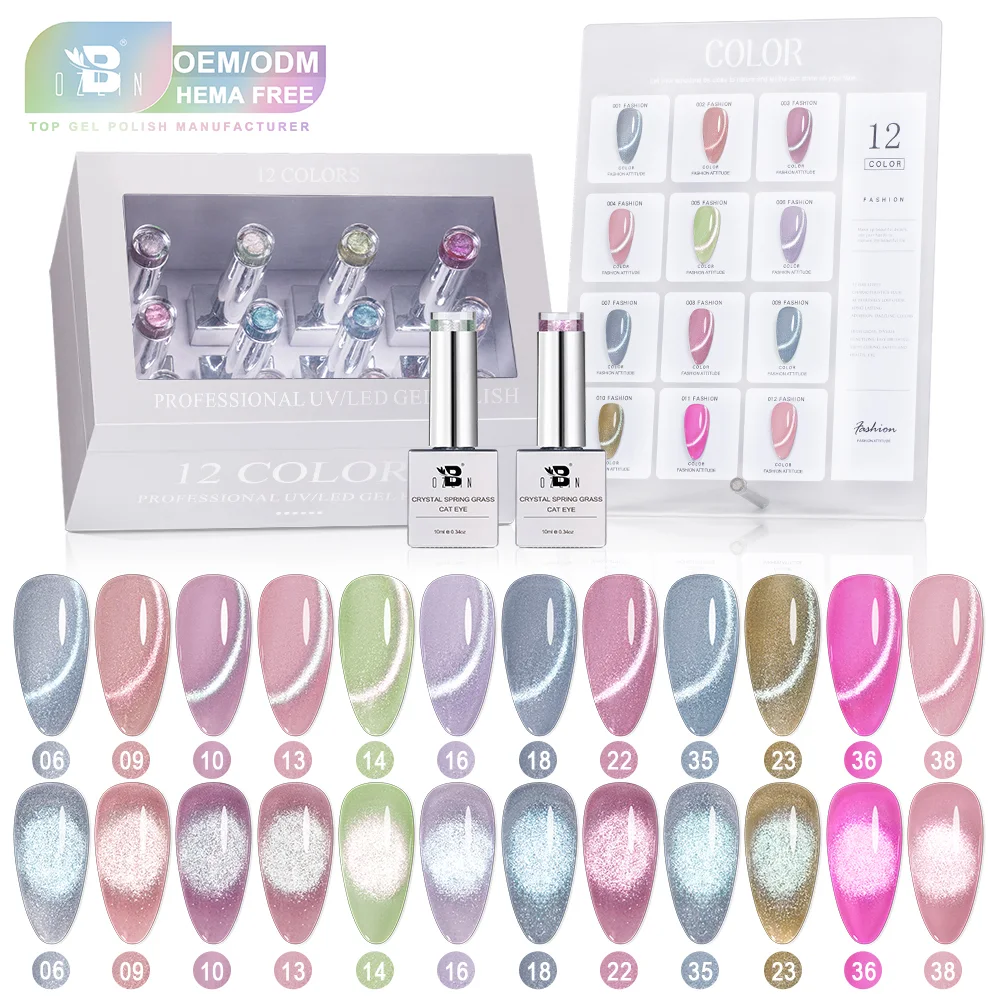 Гель-лак для ногтей Bozlin Hema-Free Crystal Glitter Magnetic Cat Eye, 10 мл 1