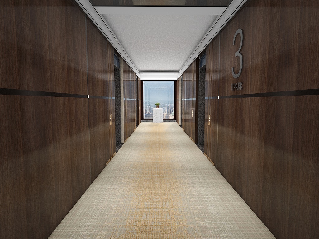 Tapis Axminster européen classique pour salons et hôtels 7