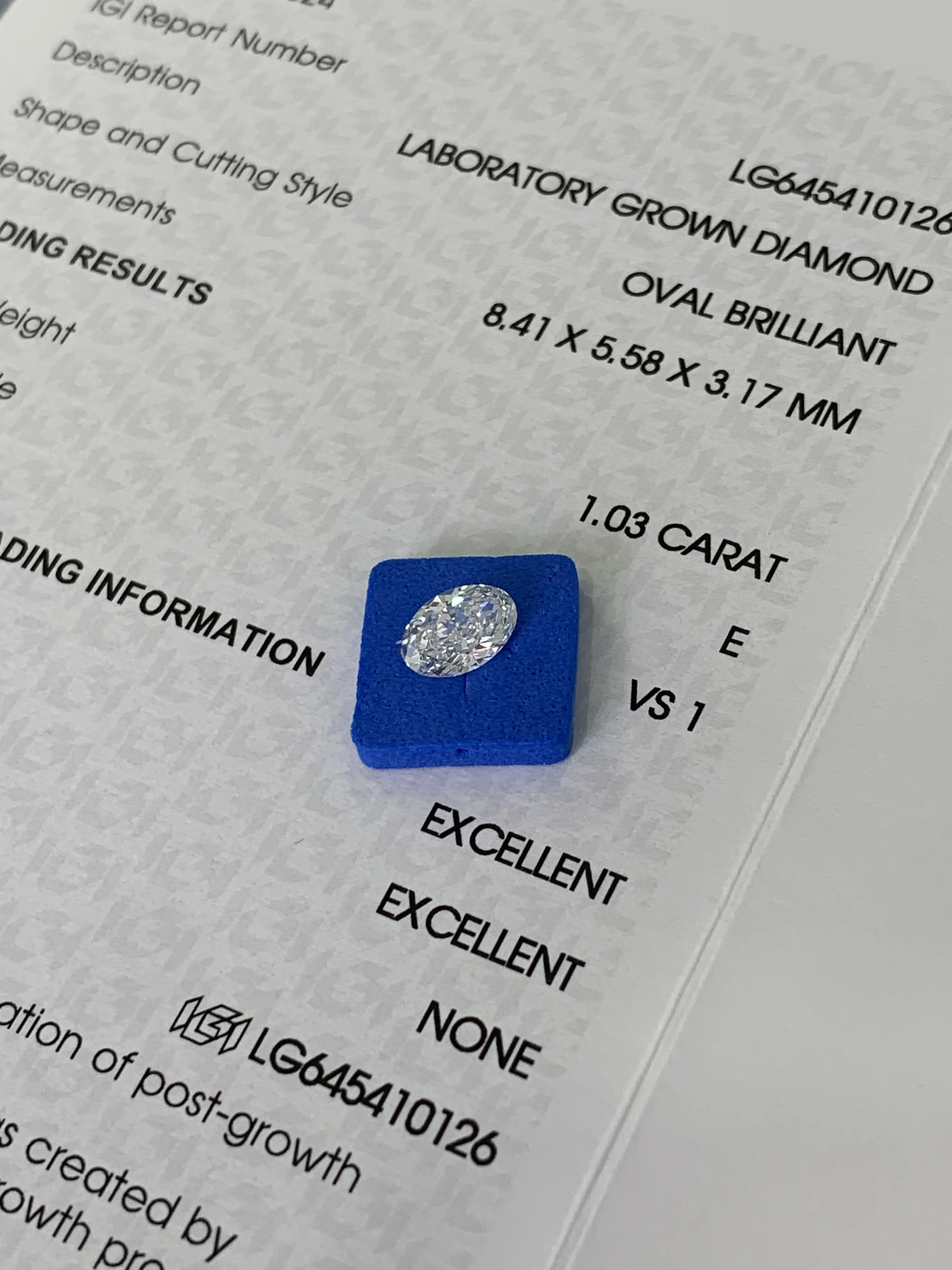 Lab Grown Diamond Oval Lab Grown Diamond Factory 4