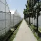 Cheap Plastic Film Greenhouse Commercial Greenhouse Multi Span Greenhouse Wholesale - Sainpoly 6