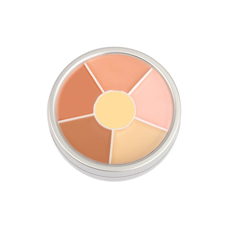 Mlm Custom Makeup Oem Wholesale High Quality Natural Oil-control Waterproof Concealer Contouring Cream Customized Color Palette 1