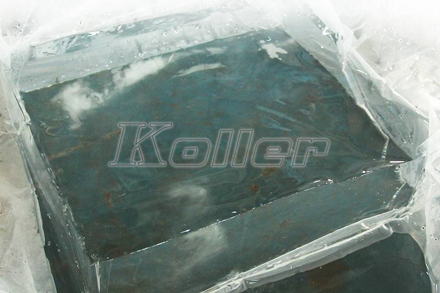 Máquina para hacer bloques de hielo transparentes TB01 3
