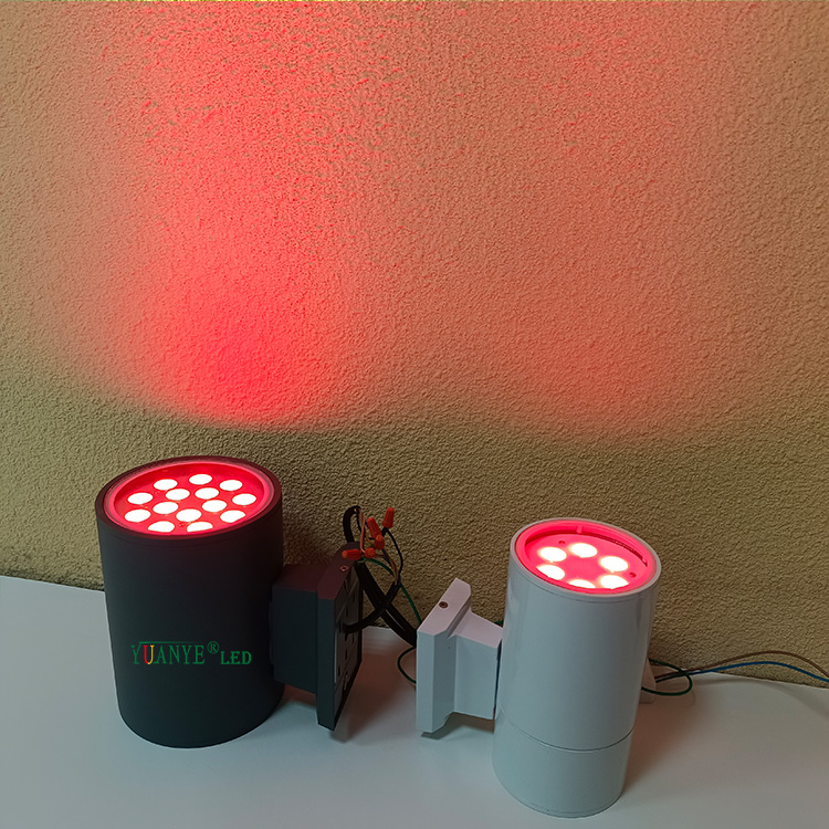 Lámpara de pared moderna a prueba de agua al aire libre IP65 Luz de pared para la iglesia Edificio al aire libre Fachada Decoración de paisajes YY-BDR001-A 8