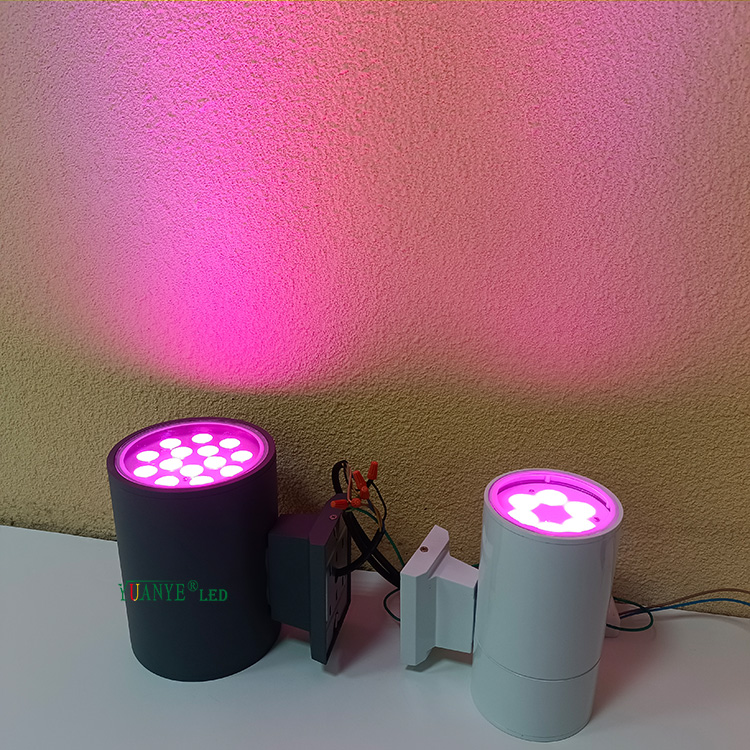 Lámpara de pared moderna a prueba de agua al aire libre IP65 Luz de pared para la iglesia Edificio al aire libre Fachada Decoración de paisajes YY-BDR001-A 7