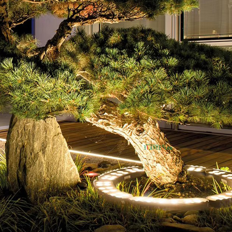 Coldable 24v à LED HUG Light Rgbw 6leds 12W Ring Palm Palm Hug Tree Lamp yy-tg5b 12