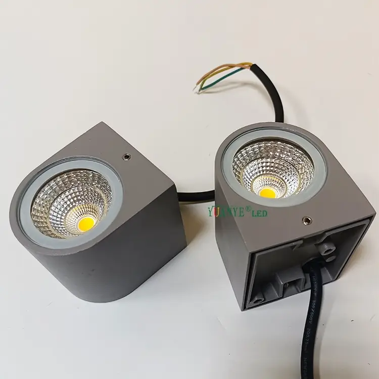 집 외벽 장식용 집 코브 LED 벽으로 표시 불일 빌라 가정 장식 yy-bdr005 1