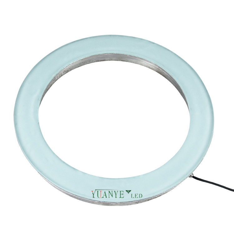 Yuanyeled - Donut Shape personnalisé Light Brick Dimmable Dimmable RGBW ACTEUR INOXEDUX EN ÉCLAIR001 7