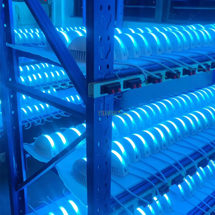 Light Trick Light 5 * 180 ° à l'extérieur Lumière décorative pour la fête Show Show Lighting Yy-BDW012 7