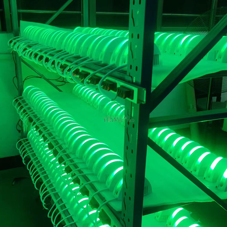 Light Trick Light 5 * 180 ° à l'extérieur Lumière décorative pour la fête Show Show Lighting Yy-BDW012 9