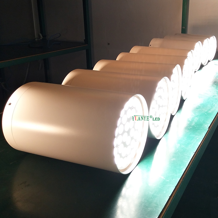 Yuanyeled - Tuya al aire libre luces de techo LET006 7