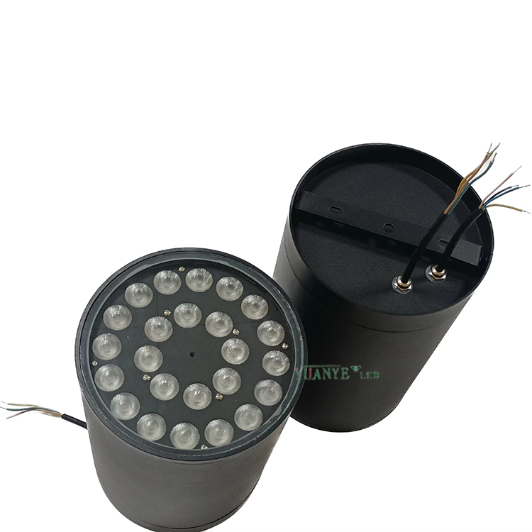 Factory Custom Outdoor Project Led Wall Lamp 3w-70w Aluminum Smart Wall Light Dali Rgb Rgbw YY-BDR8 2