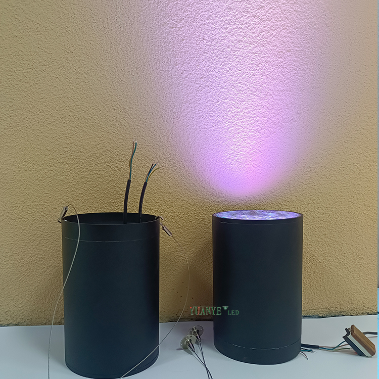 Factory Custom Outdoor Project Led Wall Lamp 3w-70w Aluminum Smart Wall Light Dali Rgb Rgbw YY-BDR8 5