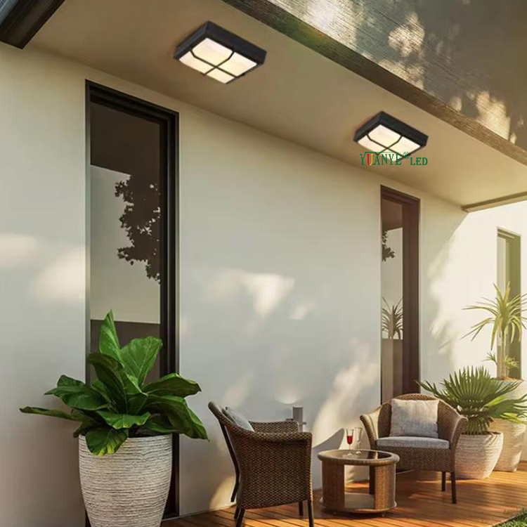 1W 6W 12W 18W Алюминиевое светодиодные светодиоды DC12V DC24V Наружная лампа с Smart App Wi-Fi Control YY-DG005 11