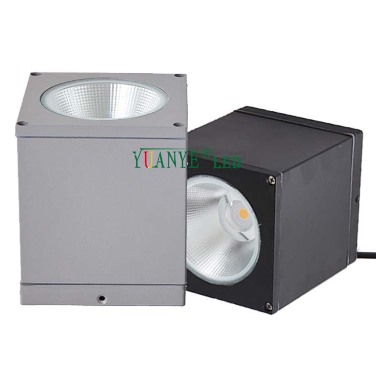 Top Quality Custom Outdoor Wall Lamps Ceiling Mounted 3w 18w 30w Rgb CCT 3000k 4000k Remote Controlled YY-BDS007-C 4