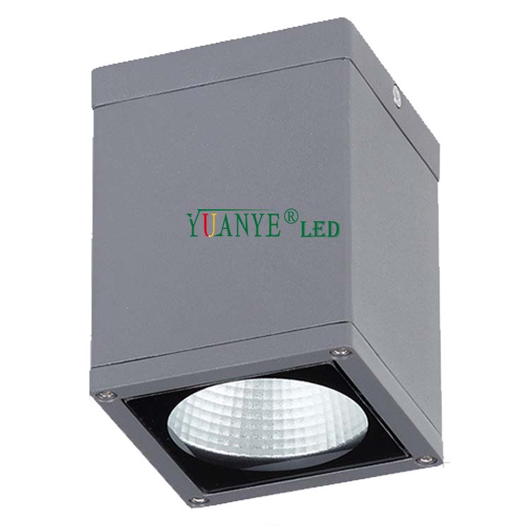 Top Quality Custom Outdoor Wall Lamps Ceiling Mounted 3w 18w 30w Rgb CCT 3000k 4000k Remote Controlled YY-BDS007-C 5