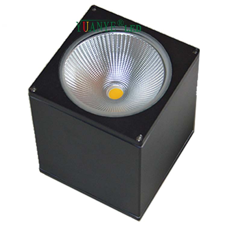 Top Quality Custom Outdoor Wall Lamps Ceiling Mounted 3w 18w 30w Rgb CCT 3000k 4000k Remote Controlled YY-BDS007-C 6