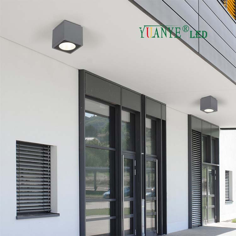 Top Quality Custom Outdoor Wall Lamps Ceiling Mounted 3w 18w 30w Rgb CCT 3000k 4000k Remote Controlled YY-BDS007-C 1