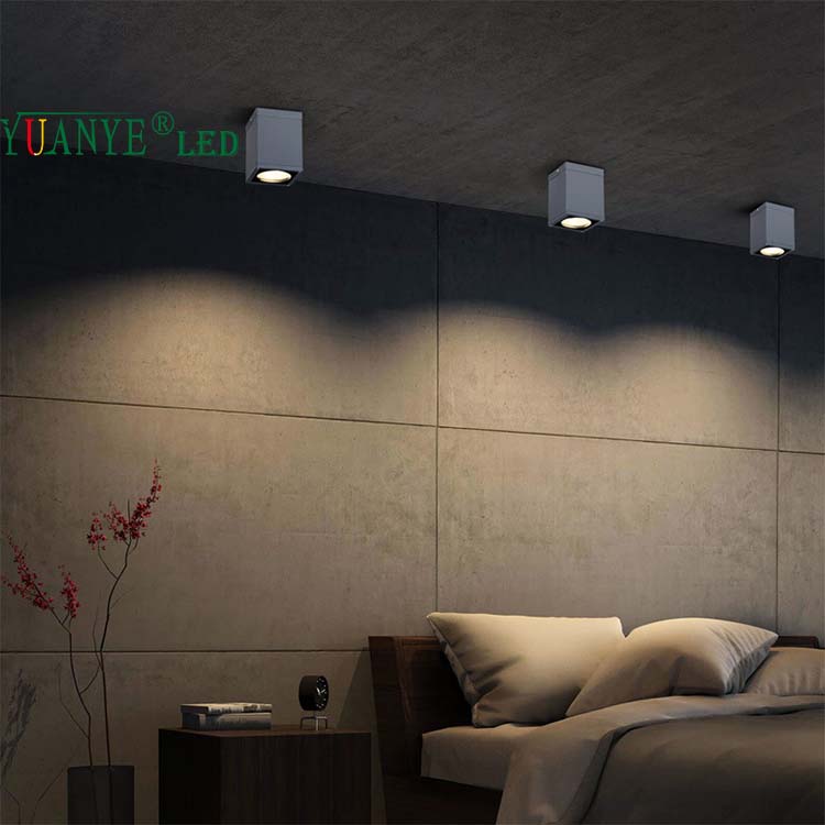Lampu dinding luaran yang berkualiti tinggi siling dipasang 3W 18W 30W RGB CCT 3000K 4000K Jauh Kawalan YY-BDS007-C 10