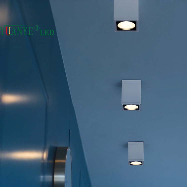 Lampu dinding luaran yang berkualiti tinggi siling dipasang 3W 18W 30W RGB CCT 3000K 4000K Jauh Kawalan YY-BDS007-C 11