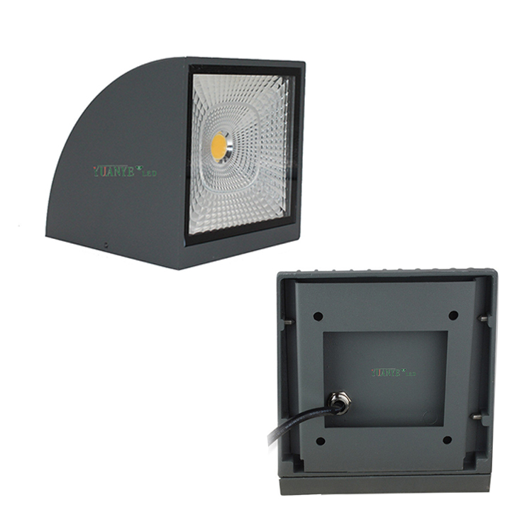 Yuanyeled - Cahaya dinding berkualiti tinggi 12V 24V Solar Outdoor 6W 9W Wifi Control IP65 RGB RGBW YY -BDS003 9