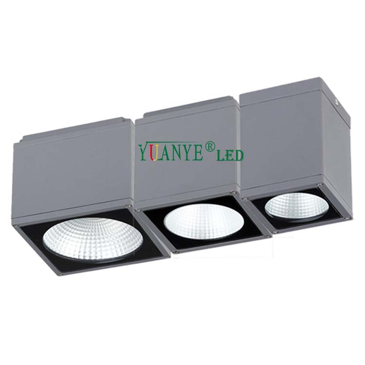 Yuanyeled-Nuovo modello Fancy Chandelier Wall Light LED LED SMD CoB Dimmable RGB RGBW per la decorazione di hotel a casa YY-BDS007-C 2