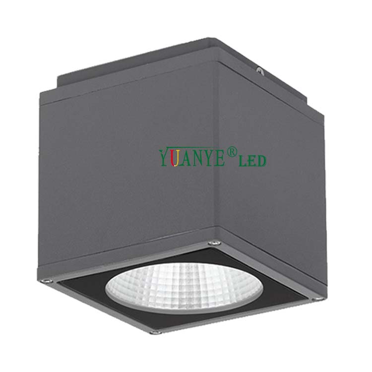 Yuanyeled-Nuovo modello Fancy Chandelier Wall Light LED LED SMD CoB Dimmable RGB RGBW per la decorazione di hotel a casa YY-BDS007-C 3