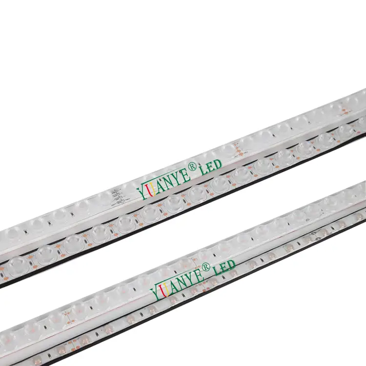 IP68 IP68 LED LED Strip Light RGB DC24V 12W 18W 24W 36W Para Proyecto Comercial de Hotel YY-XQ2813 1