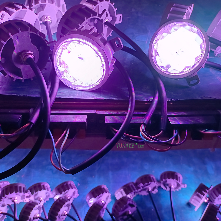 Remoto Control Dimmabile 1W 2W 3W 5W Punta LED permanente esterno DC24V AC85-265V ORAZIONE DI NATALE YY-DG031 9