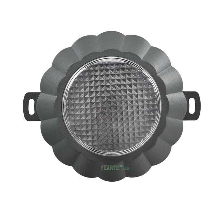 Yuanyeled - LED Pixel Point Light 5W 6W 9W IP65 DIA 5.31Inch DC12V AC220V DALI ALAMAT RGBW RGB YY -DG013 4