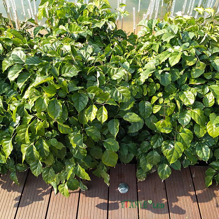 Fabricante LED LED de Yuanyeled subterráneo 5W 9W 12W ACERO ACERADO INOXINED PARA GARDER DEL GARDÍA022 13