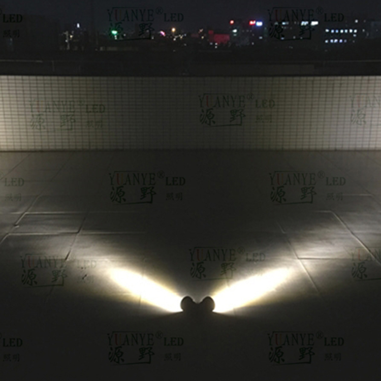 Yuanyeled - Mur à LED / lumière de terre 12W 24W extérieure intelligente réglable simple ou double tête imperméable IP65 YY-BDR008 9