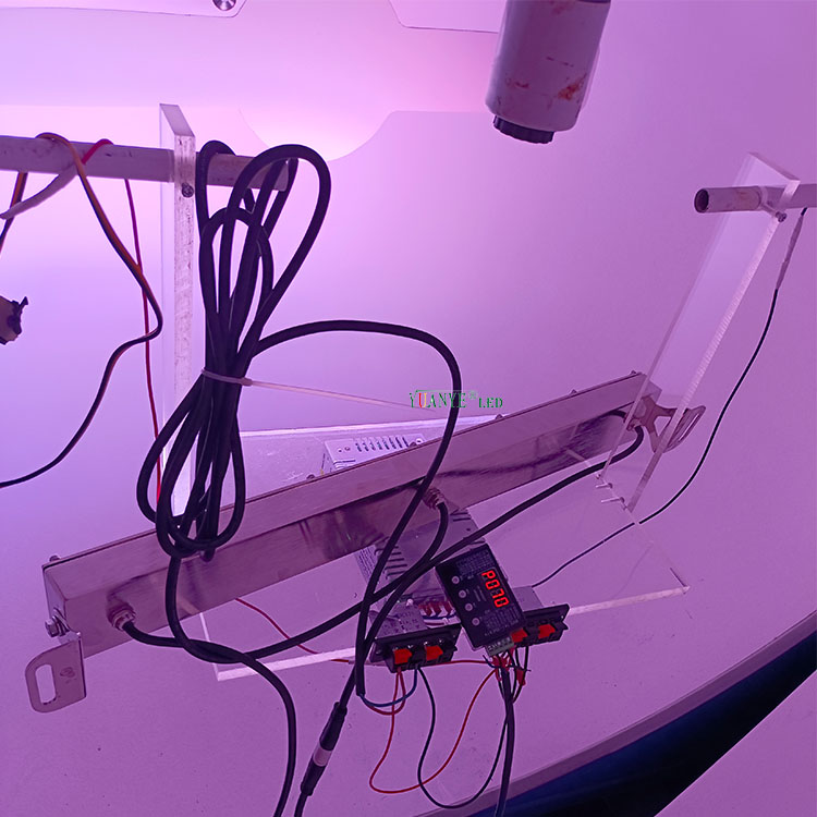 YuanyEled - Iluminación de luz lineal LED submarina IP68 18W 2700K 15W DMX512 RGBW ASIGHER DE LA MALA LED IMPRESIONA YY -SDTJ 9