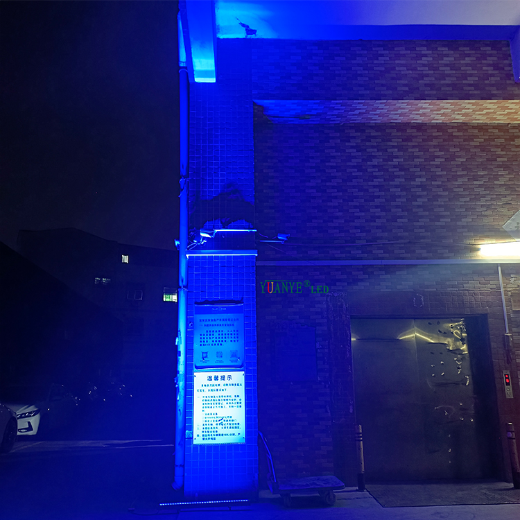 IP66 LED MUR LEVERSEURS LUCHER4057 7