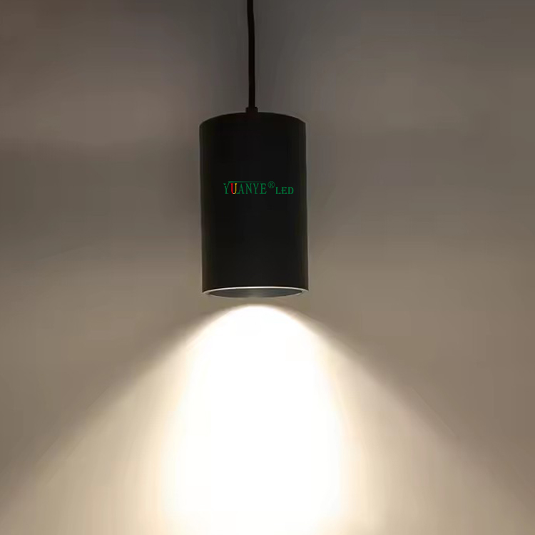 Подвесный тип черный белый цвет тела 4 дюйма 1 10 Вт 20 Вт 30 Вт 72 Вт Светодиодный коммерческий светлый лампа подвесная лампа Рождество Yy-Bdr007-B 8