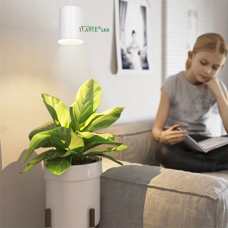 Подвесный тип черный белый цвет тела 4 дюйма 1 10 Вт 20 Вт 30 Вт 72 Вт Светодиодный коммерческий светлый лампа подвесная лампа Рождество Yy-Bdr007-B 11