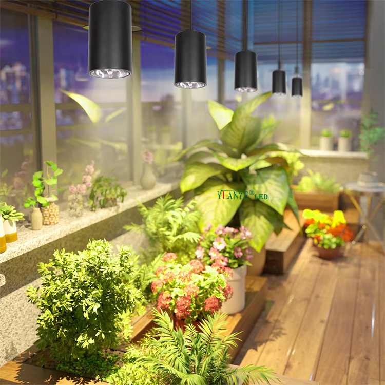 Подвесный тип черный белый цвет тела 4 дюйма 1 10 Вт 20 Вт 30 Вт 72 Вт Светодиодный коммерческий светлый лампа подвесная лампа Рождество Yy-Bdr007-B 12