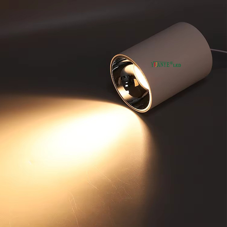 RGB moden RGB RGBW Taman Taman Perdagangan Dinding Komersial Warna Backyard Changing Patio Porch Led Floodlight Yy-Bdr006-B 7