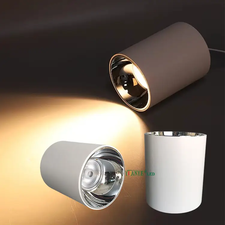 새로운 현대 RGB RGBW 정원 식물 상업용 벽 뒤뜰 색상 교환 파티오 현관 LED 블러드 라이트 YY-BDR006 1