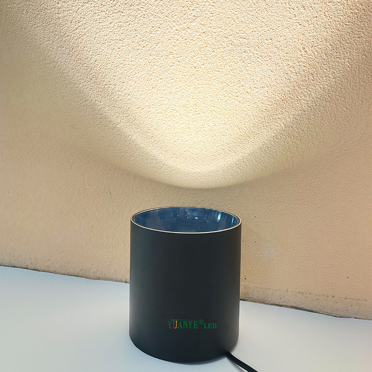 Новый современный RGB RGBW Garden Plant Коммерческий настенный задний двор с изменением патио крыльцо светодиодное прожектор Yy-Bdr006 7