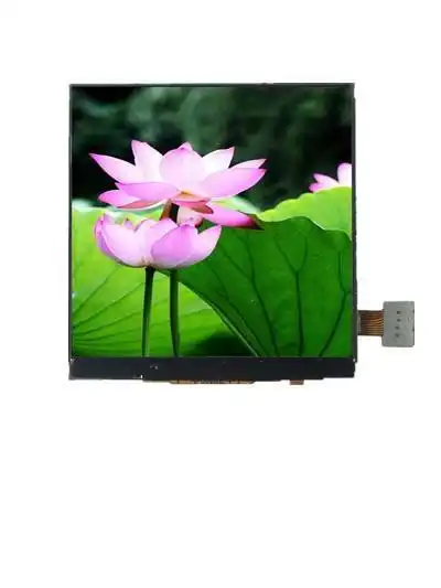 2.4 TFT Display 1