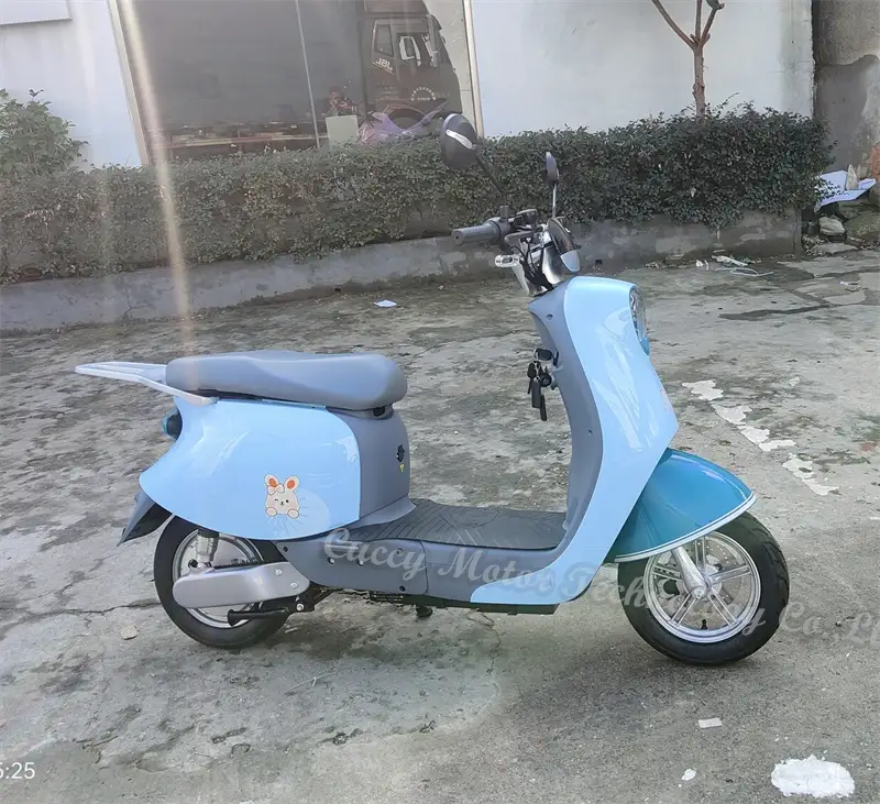 800w scooter 500w electric moped e bike for adults and sale 1