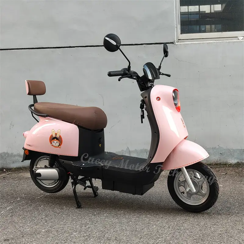 800w 500w electric scooter e bike for adults & sale 1