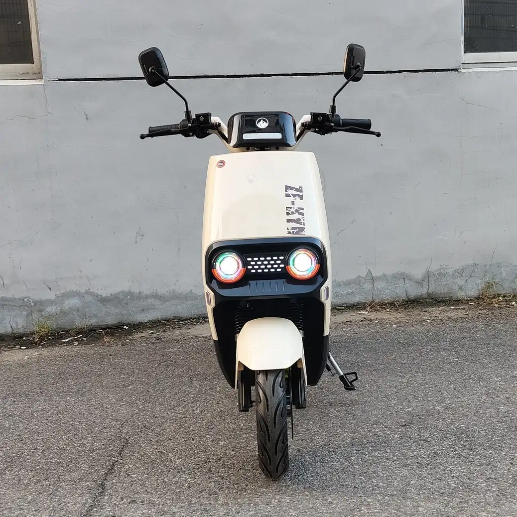 Batterie lithium-ion graphène 1500 W, 1200 W, 1000 W, 800 W, pour vélo électrique et trottinette électrique, à vendre aux Philippines 1