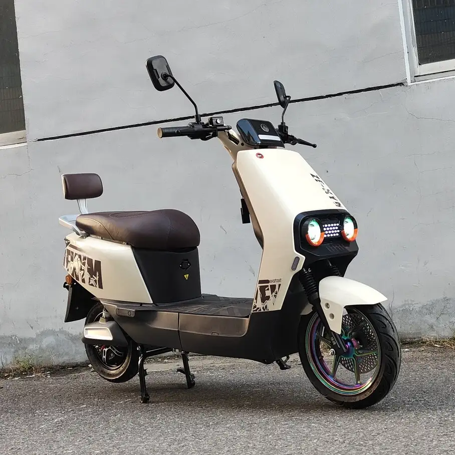 Fabricants de trottinettes électriques en Chine proposant les meilleures trottinettes électriques de 1000 W et 800 W à la vente 1