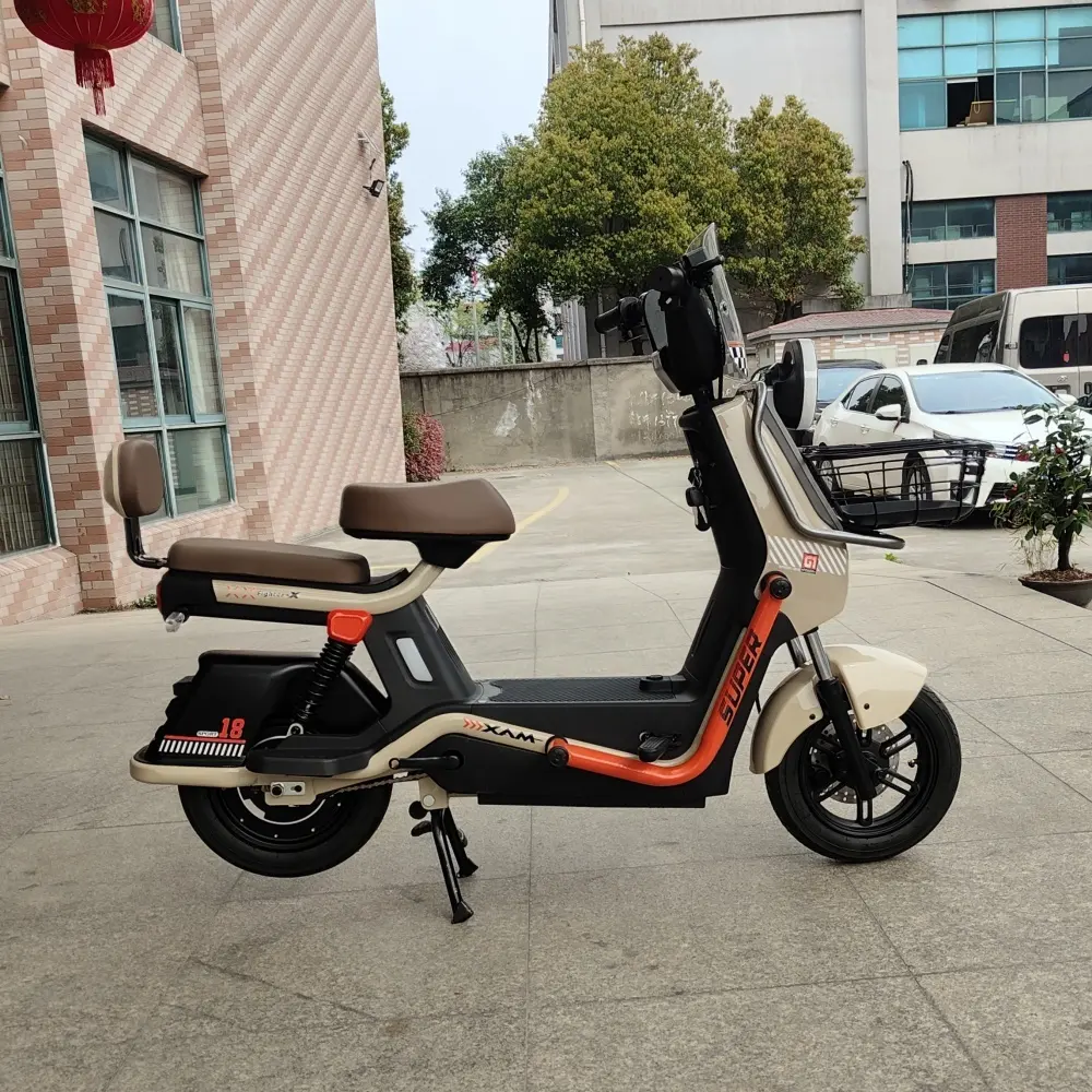 Products Best E Scooter for Adults Company 4