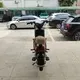 Products Best E Scooter for Adults Company 9