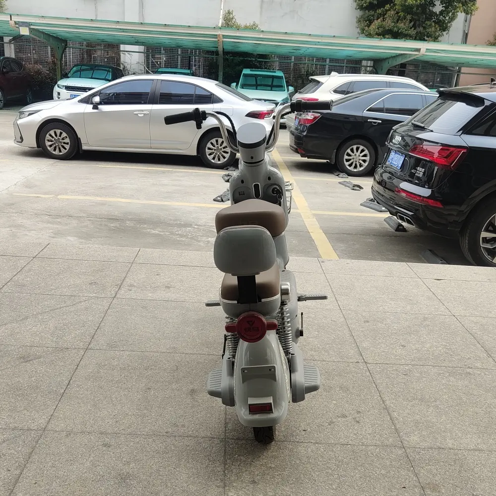 Electric Moped Moped Scooters for Sale Supply 7